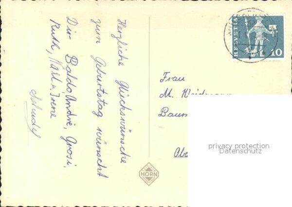 Rosen – Bild 2