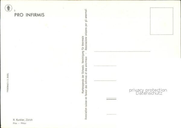 Blumen Flox Künstlerkarte H. Kunkler – Bild 2