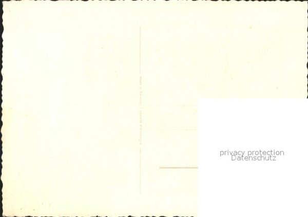 Rosen – Bild 2