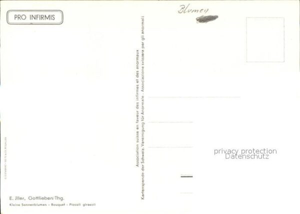 Blumen Sonnenblumen Künstlerkarte E. Jller – Bild 2