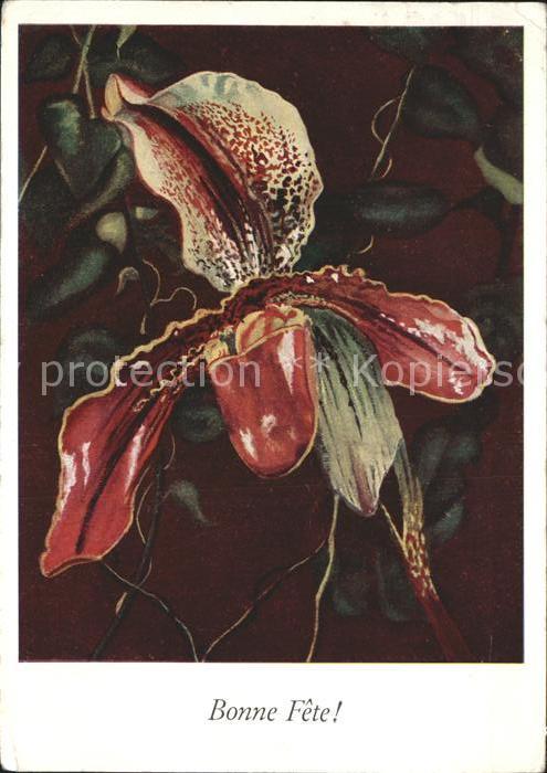Blumen Orchidee Künstlerkarte B. Schmitz-Hochb