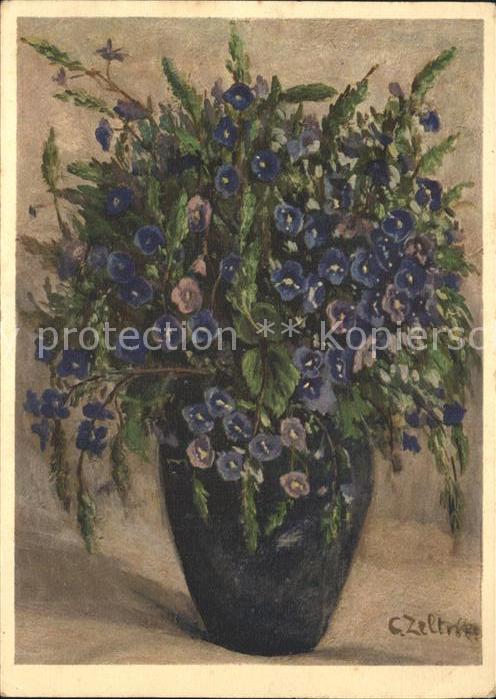 Blumen Gamander Ehrenpreis Künstlerkarte C. Ze