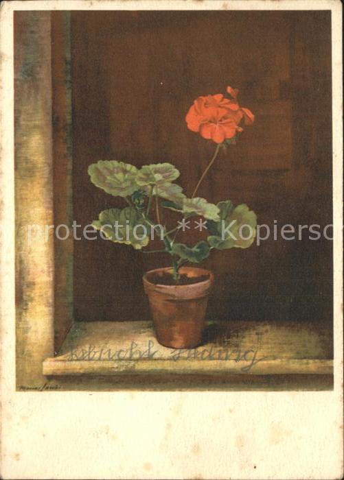 Blumen Geranie Künstlerkarte Marcus Jacobi