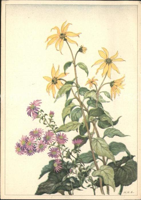 Blumen Sonnenblume Künstlerkarte H.H.S. Nr. 53