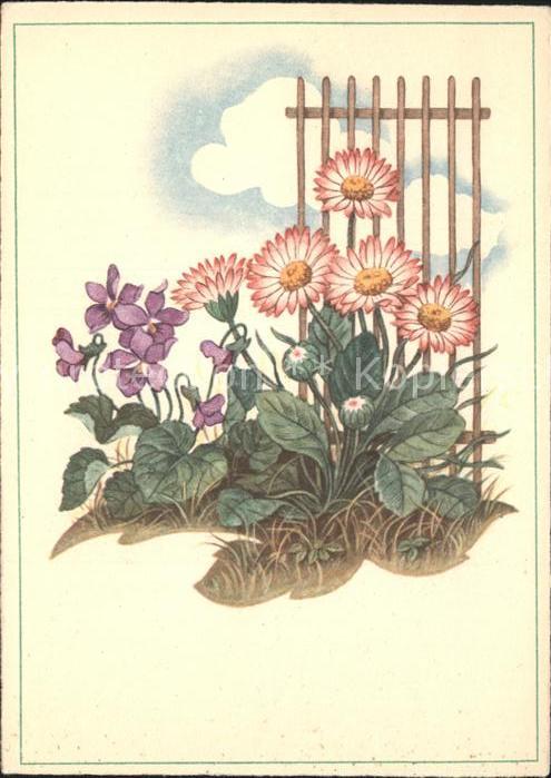 Blumen Veilchen Cellaro-Verlag Nr. 6430