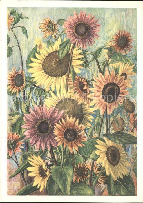 Blumen Sonnenblumen Künstlerkarte Hermann Munt