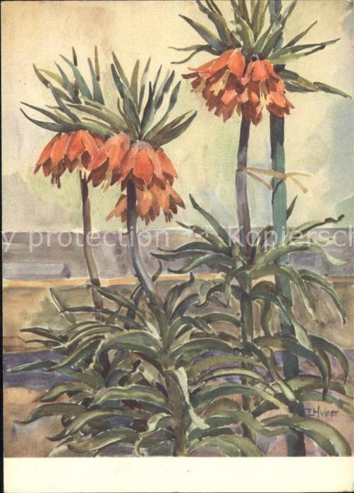 Blumen Kaiserkrone Künstlerkarte E. Huber