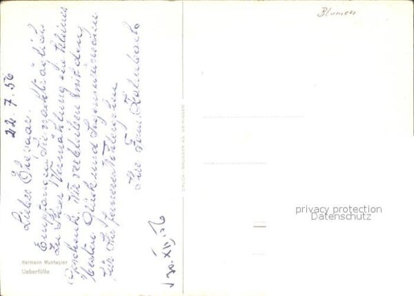 Blumen Künstlerkarte Hermann Muntwyler – Bild 2