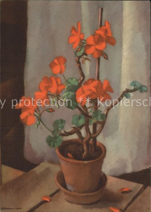 Kuenstlerkarte Adolf Holzmann Geranium