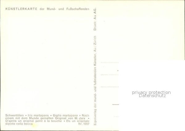 Kuenstlerkarte Mundmaler M. Jars Schwertlilien Nr. 120 – Bild 2