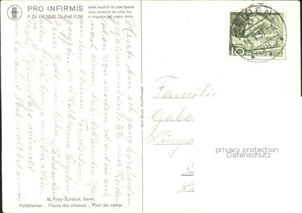 Kuenstlerkarte M. Frey-Surbeck Feldblumen – Bild 2