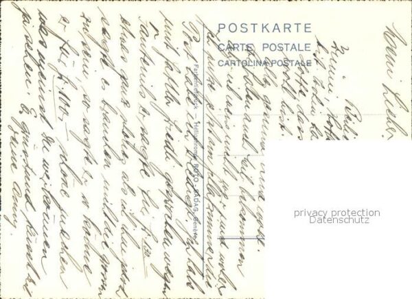 Rosen – Bild 2