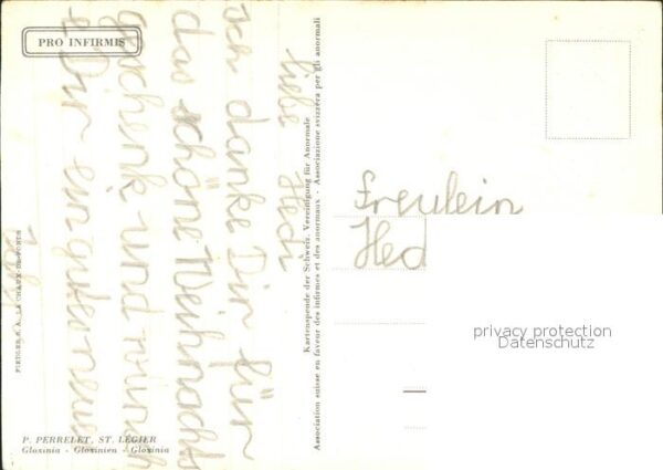 Kuenstlerkarte P. Perrelet Gloxinien – Bild 2