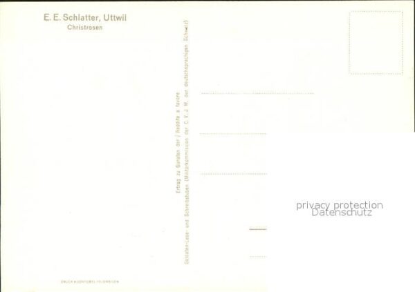 Schlatter E.E. Christrosen Kerze – Bild 2