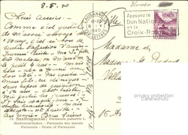 Zeltner C. Studentenröschen Nr. 74 – Bild 2