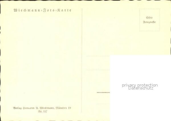 Blumen Königskerzen Wiechmann-Verlag Nr. 117 – Bild 2