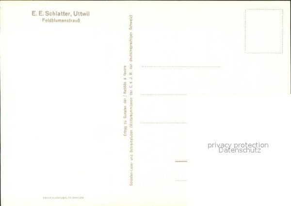 Schlatter E.E. Feldblumenstrauß – Bild 2