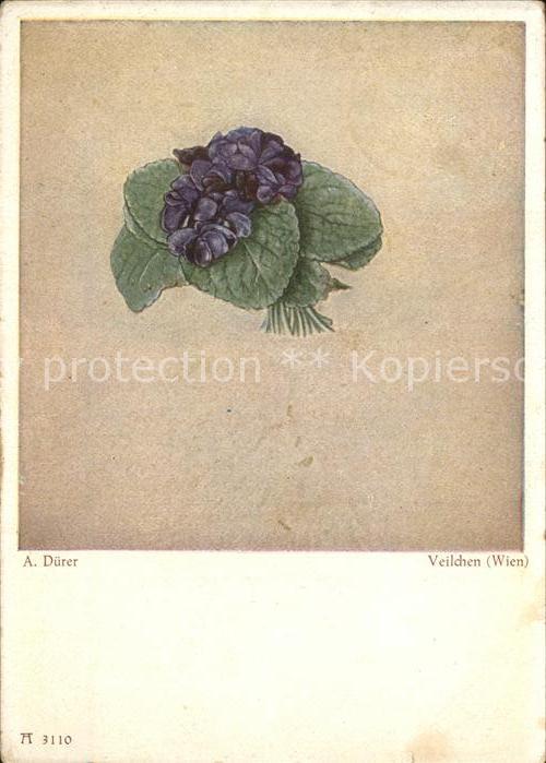 Duerer Albrecht Nuernberg Veilchen Nr. 3110 F.A.-Ackermanns-Verla