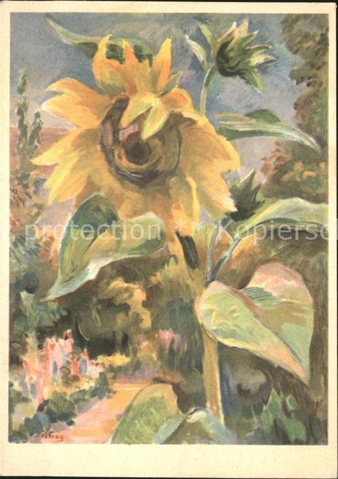 Kuenstlerkarte Margherita Frey Sonnenblumen