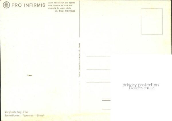 Kuenstlerkarte Margherita Frey Sonnenblumen – Bild 2
