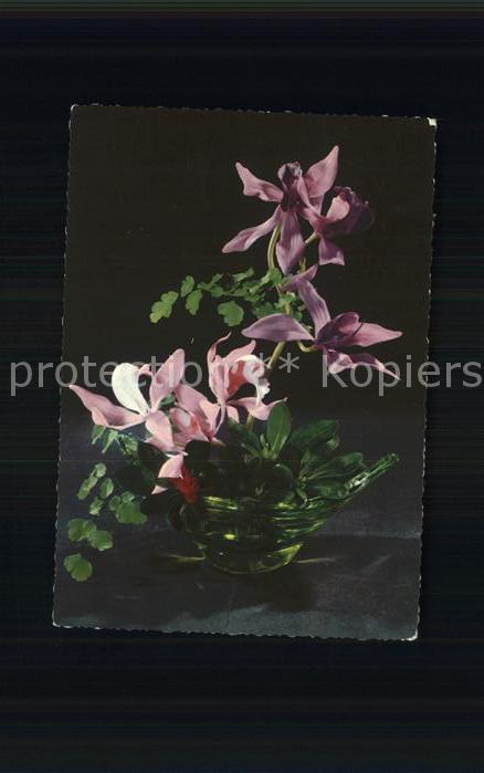Blumen