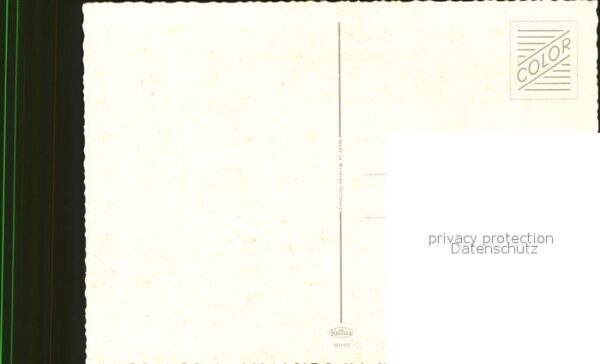 Rosen – Bild 2