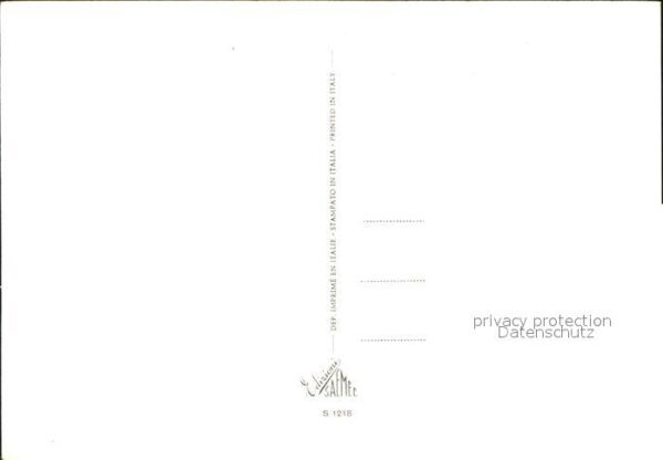 Rosen – Bild 2