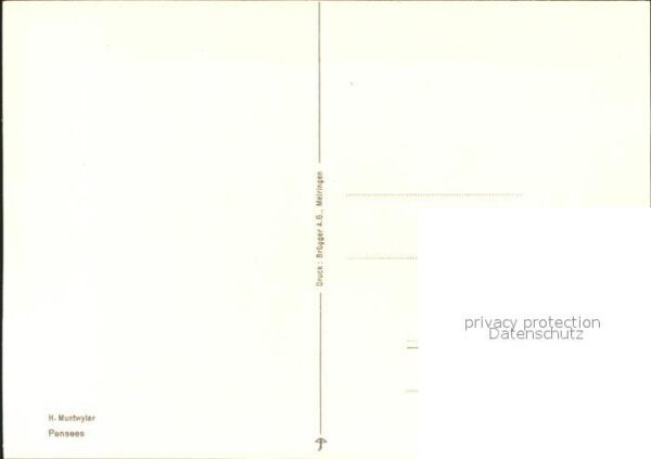 Kuenstlerkarte H. Muntwyler Pensees Stiefmütterchen – Bild 2