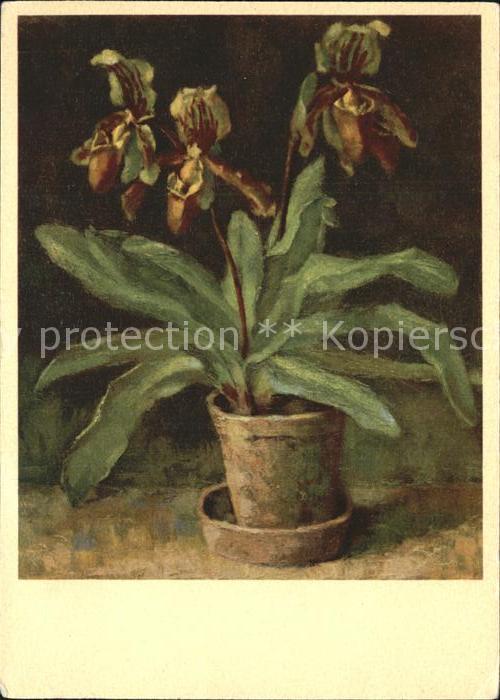 Kuenstlerkarte E. Fenner Orchideen