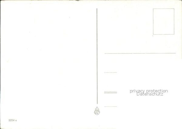 Rosen – Bild 2