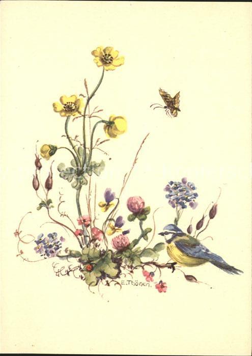Kuenstlerkarte E. Thönen Frühling Schmetterling Vogel