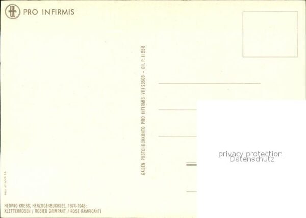 Kuenstlerkarte Hedwig Krebs Kletterrosen – Bild 2