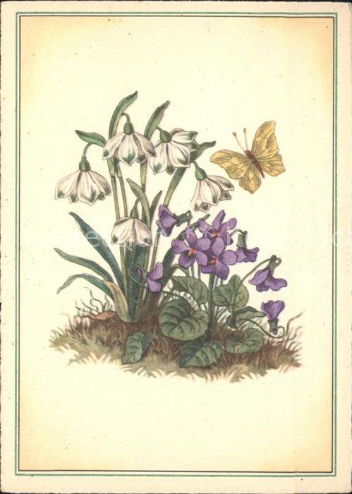 Schmetterlinge Schneeglöckchen Veilchen Cellaro-Verlag