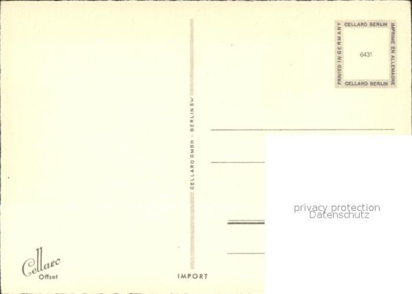 Blumen Margeriten Cellaro-Verlag Nr. 6431 – Bild 2