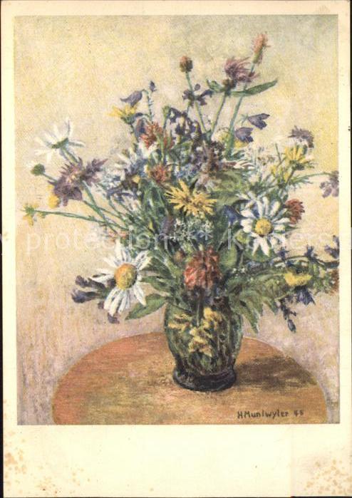 Muntwyler H. Wiesenblumen Margeriten