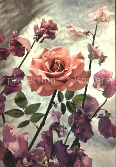 Rosen