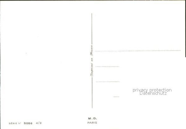 Rosen – Bild 2