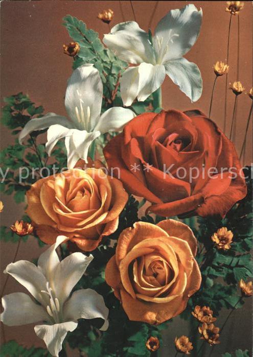 Rosen M.D.-Paris-Verlag Nr. 5056