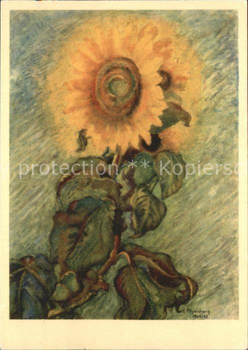 Kuenstlerkarte E. Fryenberg Sonnenblumen