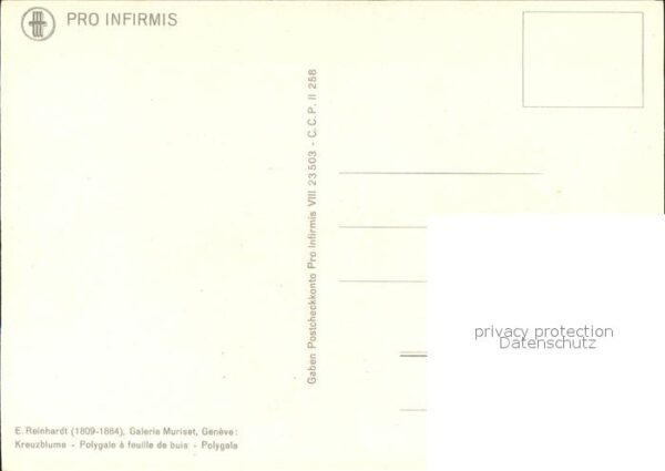Kuenstlerkarte E. Reinhardt Kreuzblume – Bild 2