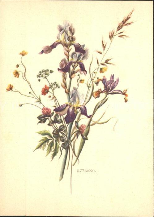 Kuenstlerkarte E. Thönen Schwertlilien