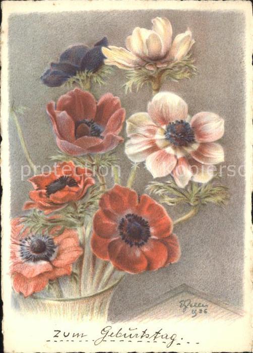 Kuenstlerkarte E. Zeller Anemonen Anemones
