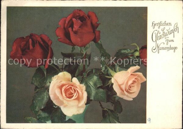 Rosen Glückwunsch Namenstag