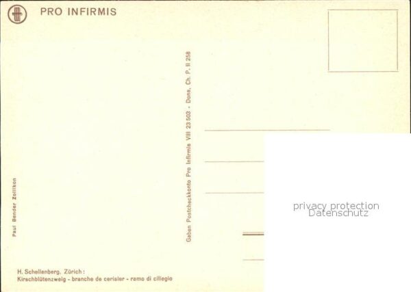 Blumen Kirschblütenzweig H. Schellenberg – Bild 2