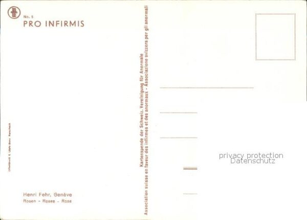 Kuenstlerkarte Henri Fehr Rosen – Bild 2