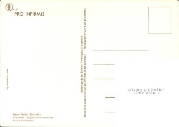 Kuenstlerkarte Werner Weber Maiblümchen – Bild 2