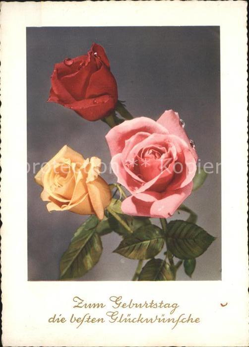 Rosen Geburtstag Glückwunsch