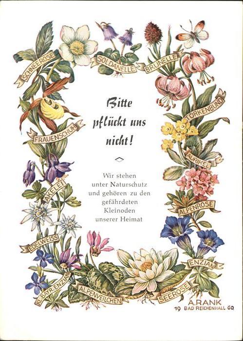 Kuenstlerkarte A. Rank Blumen Naturschutz Aurikel Akel
