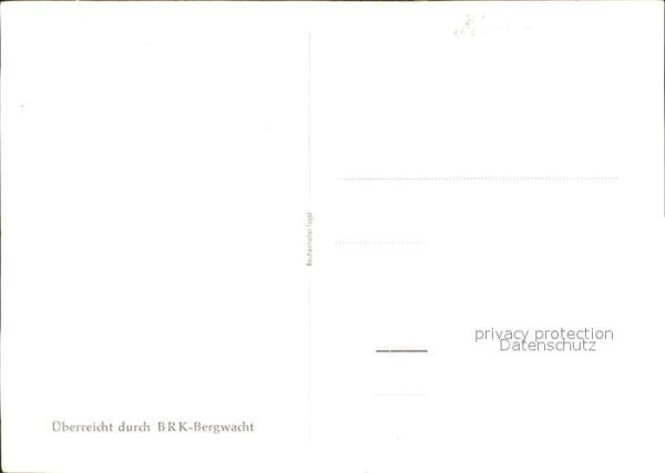 Kuenstlerkarte A. Rank Blumen Naturschutz Aurikel Akel – Bild 2