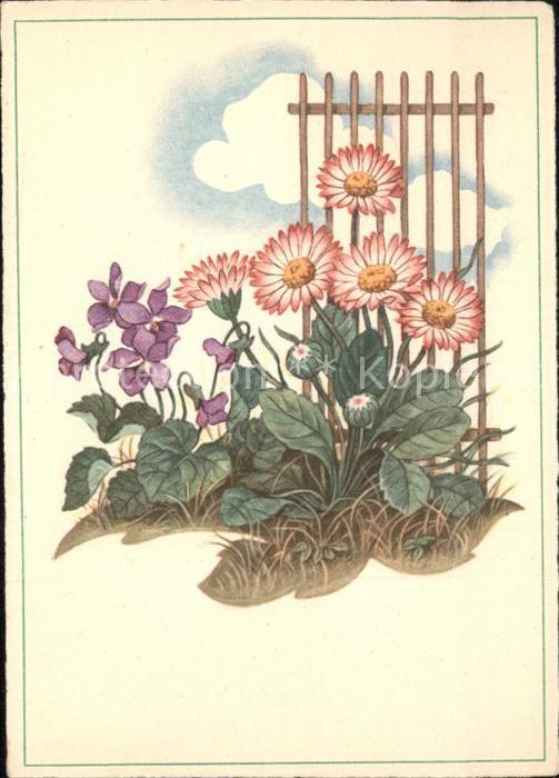 Blumen Veilchen Cellaro-Verlag Nr. 6430